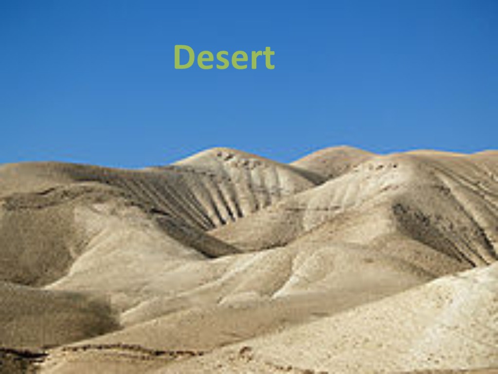 Desert